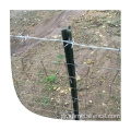 Ασφάλεια φράχτη PVC επικαλυμμένο χάλυβα για φράχτη βοοειδών